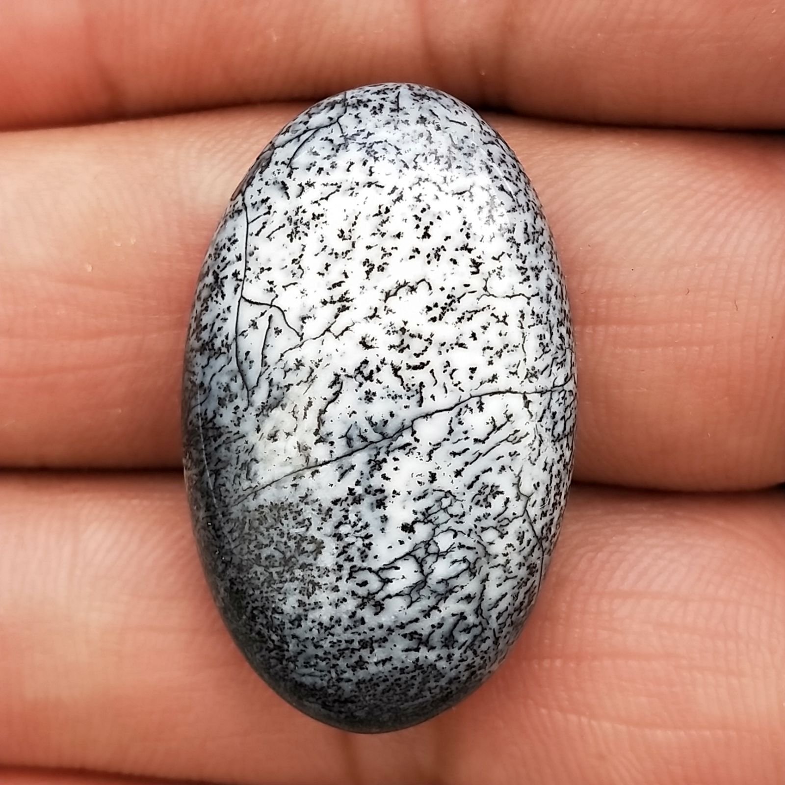 Opale Dendritico Naturale Forma Ovale Piatto Cabochon Liscio Fatto a Mano 31X19mm 5,58gm 1pz