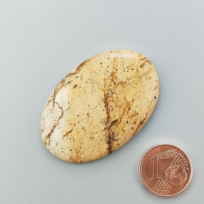 Cabochon di Pietra Paesina Naturale Ovale, Piatto e Liscio, 42x28x5 mm, 9,90 g, Fatto a Mano