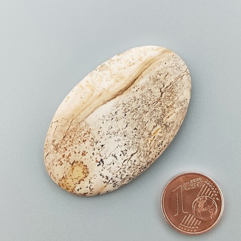 Pietra Paesina Naturale Forma Ovale Piatto Cabochon Liscio Fatto a Mano 46X29X5mm 11,60gm 1pz Pietra Paesina Naturale Forma Ovale Piatto Cabochon Liscio Fatto a Mano 46X29X5mm 11,60gm 1pz