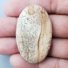 Pietra Paesina Naturale Forma Ovale Piatto Cabochon Liscio Fatto a Mano 46X29X5mm 11,60gm 1pz Pietra Paesina Naturale Forma Ovale Piatto Cabochon Liscio Fatto a Mano 46X29X5mm 11,60gm 1pz