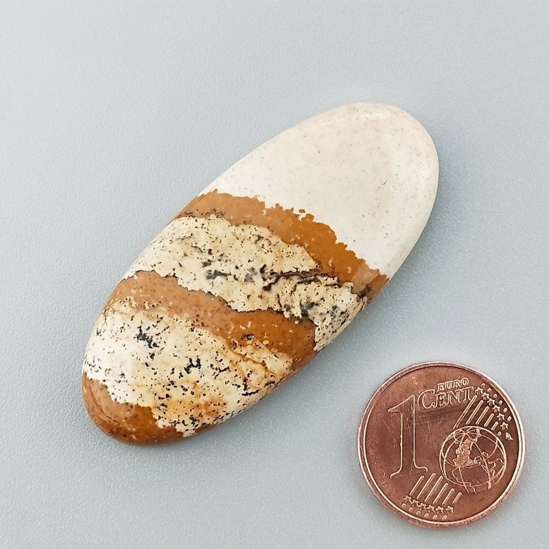 Cabochon di Pietra Paesina Naturale Ovale, Piatto e Liscio, 43x19x5 mm, 8,45 g, Fatto a Mano