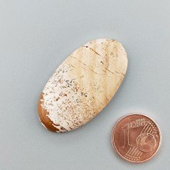 Pietra Paesina Naturale Forma Ovale Piatto Cabochon Liscio Fatto a Mano 37X20X5mm 6,10gm 1pz
