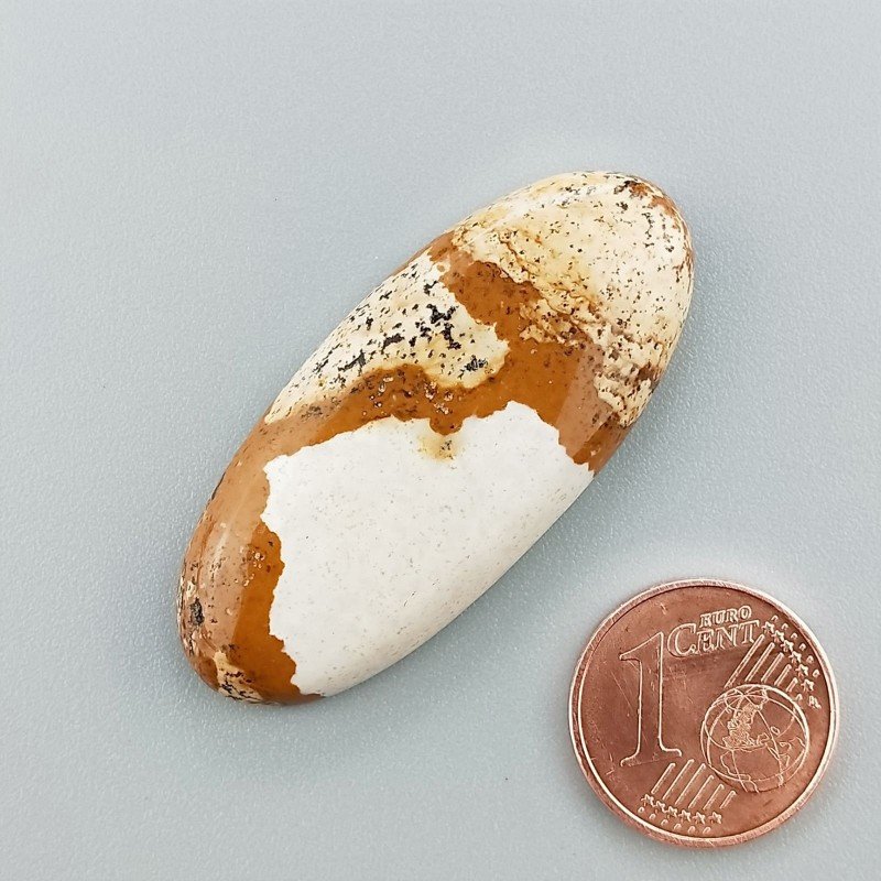 Cabochon di Pietra Paesina Naturale Ovale, Piatto e Liscio, 40x18x5 mm, 6,80 g, Fatto a Mano
