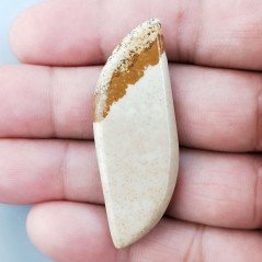 Pietra Paesina Naturale Forma Fantasia Piatto Cabochon Liscio Fatto a Mano 50X18X4mm 7,00gm 1pz