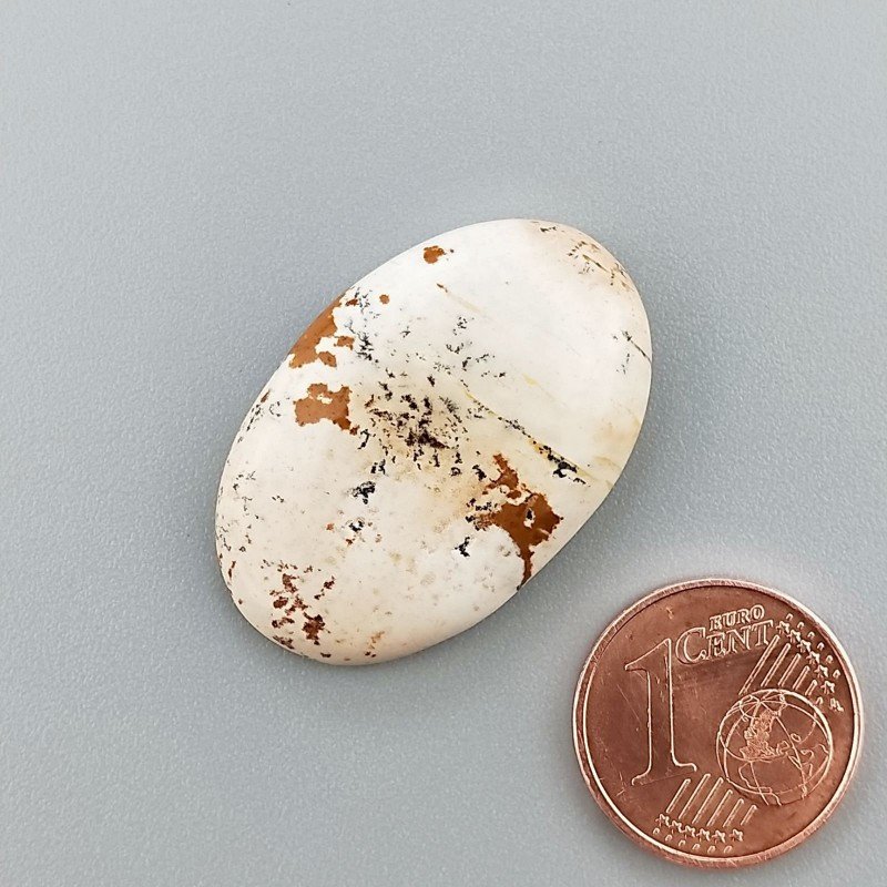 Cabochon di Pietra Paesina Naturale Ovale, Piatto e Liscio, 29x19x5 mm, 4,50 g, Fatto a Mano