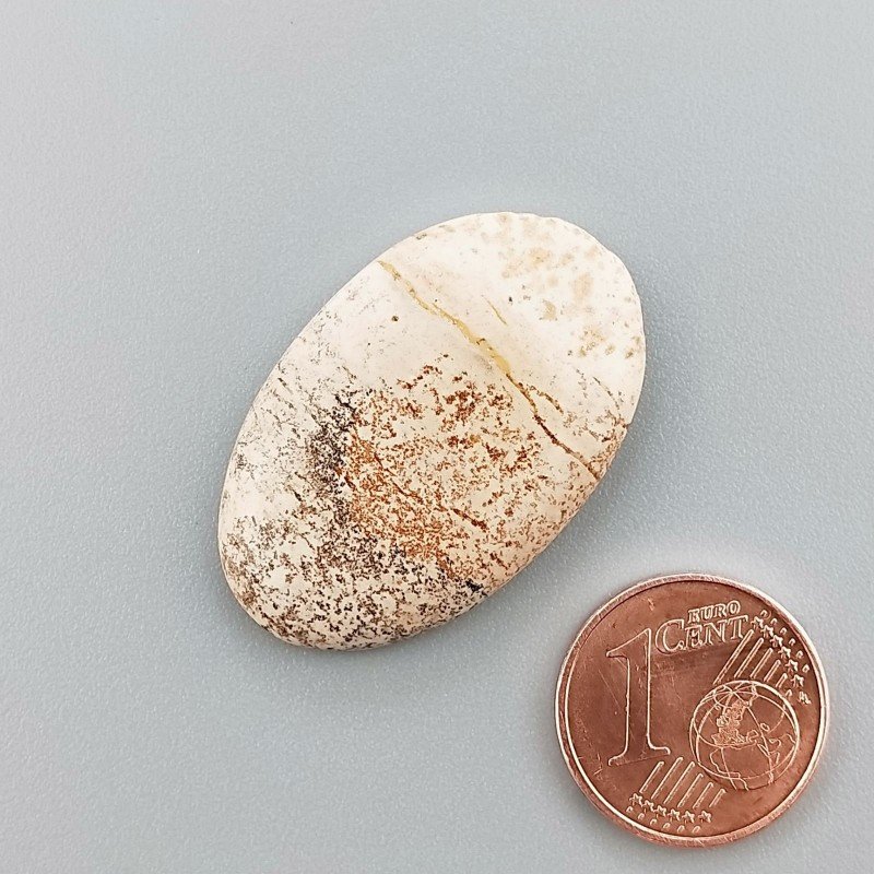 Cabochon di Pietra Paesina Naturale Ovale, Piatto e Liscio, 30x19x5 mm, 4,55 g, Fatto a Mano