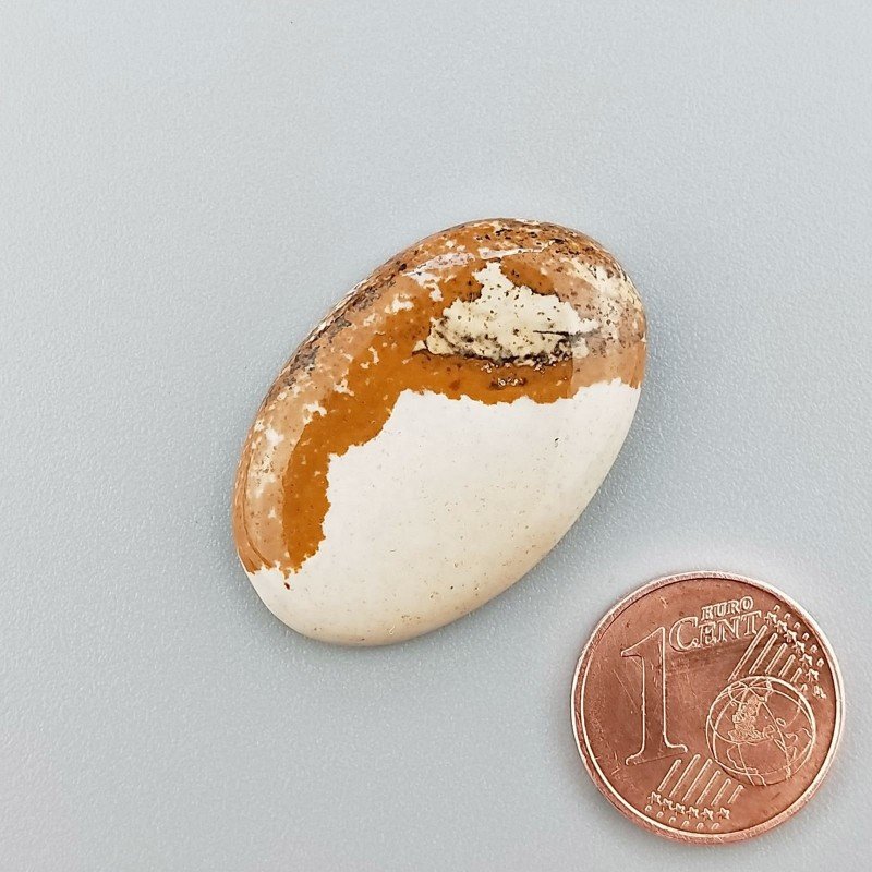 Cabochon di Pietra Paesina Naturale Ovale, Piatto e Liscio, 29x19x4 mm, 4,60 g, Fatto a Mano