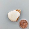 Pietra Paesina Naturale Forma Goccia Piatto Cabochon Liscio Fatto a Mano 27X22X6mm 5,00gm 1pz