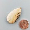 Pietra Paesina Naturale Forma Goccia Piatto Cabochon Liscio Fatto a Mano 31X17X4mm 4,00gm 1pz