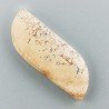 Pietra Paesina Naturale Forma Fantasia Piatto Cabochon Liscio Fatto a Mano 38X14X5mm 5,60gm 1pz