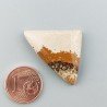Pietra Paesina Naturale Forma Fantasia Piatto Cabochon Liscio Fatto a Mano 20X32X6mm 4,90gm 1pz