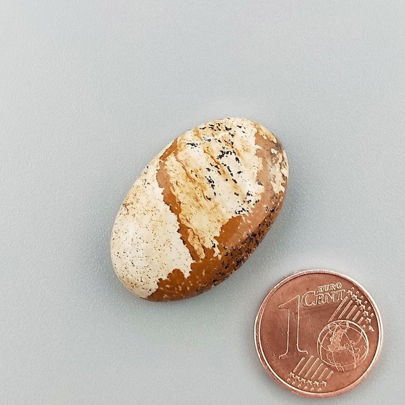 Cabochon di Pietra Paesina Naturale Ovale, Piatto e Liscio, 27x17x6 mm, 5,00 g, Fatto a Mano