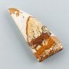Pietra Paesina Naturale Forma Fantasia Piatto Cabochon Liscio Fatto a Mano 31X15X7mm 5,90gm 1pz