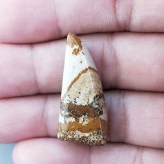 Pietra Paesina Naturale Forma Fantasia Piatto Cabochon Liscio Fatto a Mano 31X15X7mm 5,90gm 1pz