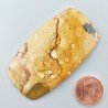 Pietra Paesina Naturale Forma Cuscino Piatto Cabochon Liscio Fatto a Mano 56X31X5mm 16,20gm 1pz