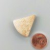 Pietra Paesina Naturale Forma Fantasia Piatto Cabochon Liscio Fatto a Mano 24X22X6mm 4,10gm 1pz