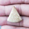 Pietra Paesina Naturale Forma Fantasia Piatto Cabochon Liscio Fatto a Mano 24X22X6mm 4,10gm 1pz