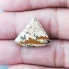 Pietra Paesina Naturale Forma Fantasia Piatto Cabochon Liscio Fatto a Mano 17X21X4mm 2,30gm 1pz