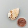 Pietra Paesina Naturale Forma Goccia Piatto Cabochon Liscio Fatto a Mano 25X17X5mm 3,35gm 1pz