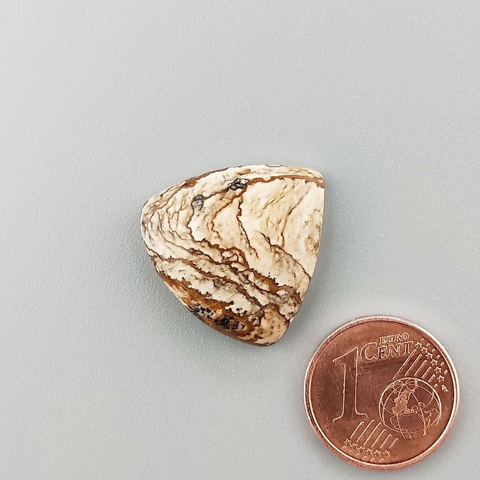 Pietra Paesina Naturale Forma Trillione Piatto Cabochon Liscio Fatto a Mano 20X20X5mm 3,00gm 1pz