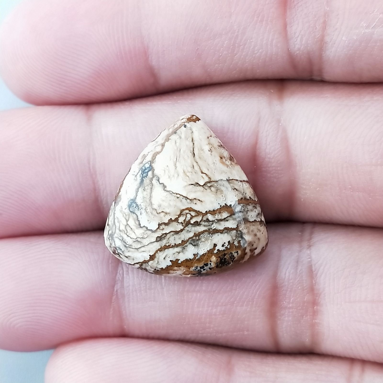 Pietra Paesina Naturale Forma Trillione Piatto Cabochon Liscio Fatto a Mano 20X20X5mm 3,00gm 1pz