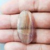 Fluorite Naturale Forma Ovale Piatto Cabochon Liscio Fatto a Mano 37X20X5mm 7,30gm 1pz