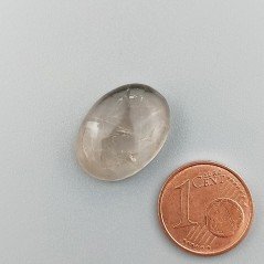 Quarzo Rutilato Oro Naturale Forma Ovale Piatto Cabochon Liscio Fatto a Mano 18X14X6mm 12,35 Carati 1pz