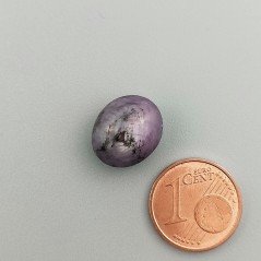 Rubino Stellato Naturale Forma Ovale Piatto Cabochon Liscio Fatto a Mano 13X11X8mm 12,35 Carati 1pz