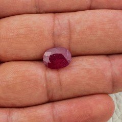 Rubino Naturale Trattato Taglio Ovale Sfaccettata Fatto a Mano 09x12mm 5,30 Carati 1pz Rubino Naturale Trattato Taglio Ovale Sfaccettata Fatto a Mano 09x12mm 5,30 Carati 1pz