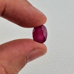 Rubino Naturale Trattato Taglio Ovale Sfaccettata Fatto a Mano 09x12mm 5,30 Carati 1pz Rubino Naturale Trattato Taglio Ovale Sfaccettata Fatto a Mano 09x12mm 5,30 Carati 1pz