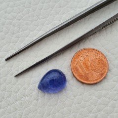 Tanzanite Naturale Forma Goccia Piatto Cabochon Liscio Fatto a Mano 13X10Xmm 8,30 Carati 1pz