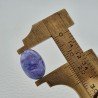 Tanzanite Naturale Forma Ovale Piatto Cabochon Liscio Fatto a Mano 15X10X6mm 10,20 Carati 1pz