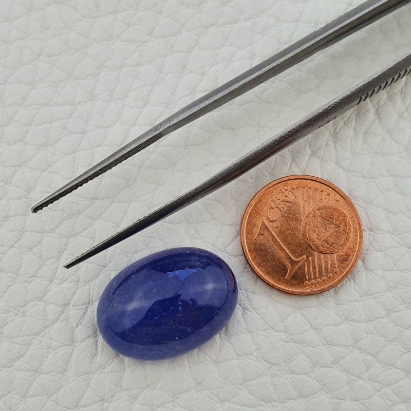 Tanzanite Naturale Forma Ovale Piatto Cabochon Liscio Fatto a Mano 19X13X08mm 19,55 Carati 1pz Tanzanite Naturale Forma Ovale Piatto Cabochon Liscio Fatto a Mano 19X13X08mm 19,55 Carati 1pz