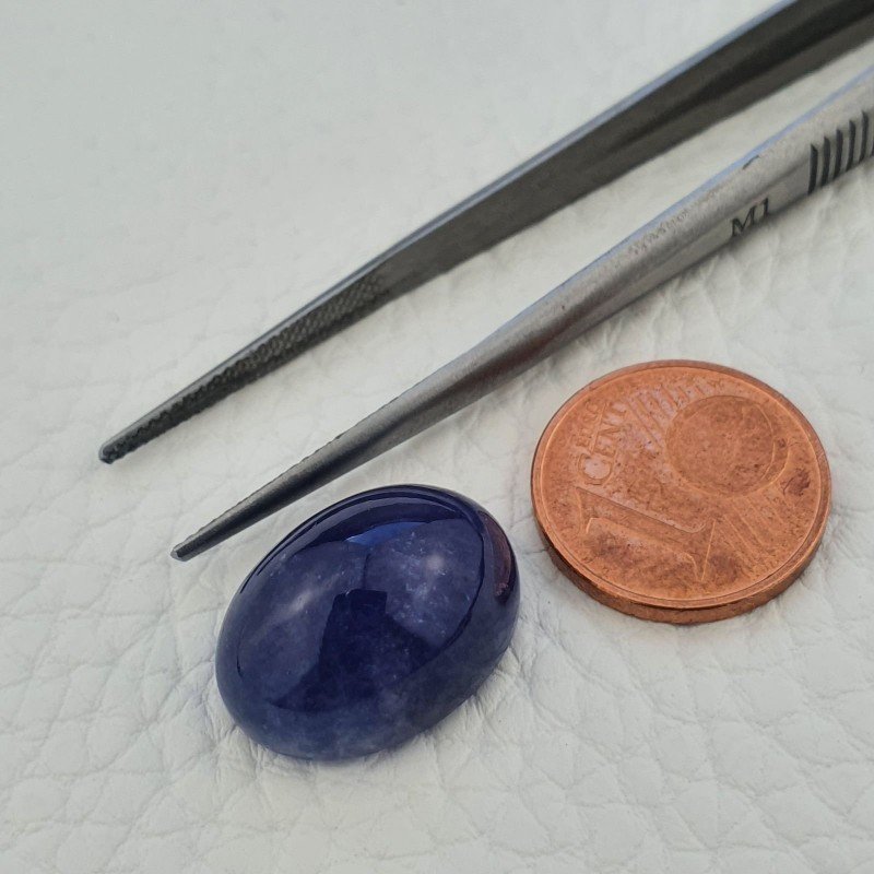 Tanzanite Naturale Forma Ovale Piatto Cabochon Liscio Fatto a Mano 17X13X9mm 18,95 Carati 1pz