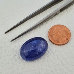Tanzanite Naturale Forma Ovale Piatto Cabochon Liscio Fatto a Mano 20X14X9mm 26,65 Carati 1pz