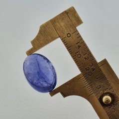 Tanzanite Naturale Forma Ovale Piatto Cabochon Liscio Fatto a Mano 20X14X9mm 26,65 Carati 1pz