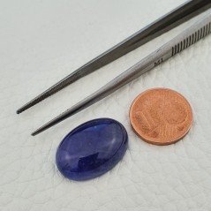 Tanzanite Naturale Forma Ovale Piatto Cabochon Liscio Fatto a Mano 19X14X6,80mm 18,70 Carati 1pz