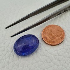 Tanzanite Naturale Forma Ovale Piatto Cabochon Liscio Fatto a Mano 18X14X8mm 20,45 Carati 1pz