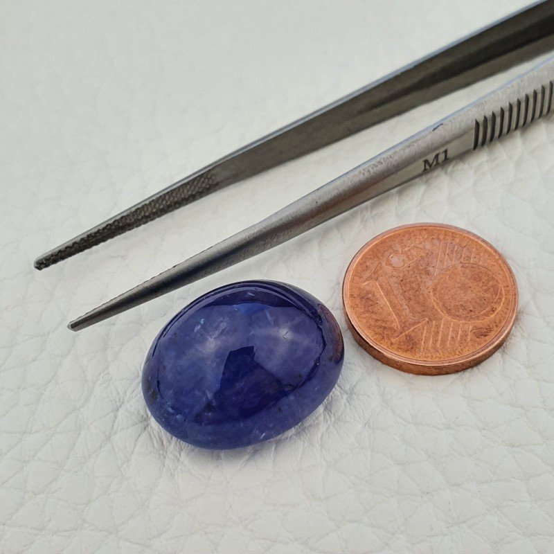 Tanzanite Naturale Forma Ovale Piatto Cabochon Liscio Fatto a Mano 18X15X10mm 24,90 Carati 1pz