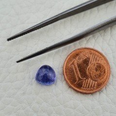 Tanzanite Naturale Forma Cuore Piatto Cabochon Liscio Fatto a Mano 6X6X4mm 2,20 Carati 1pz