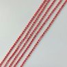 Catena Di Ottone Con Strass Incastonati 02mm Rosso-Argentato 1mt