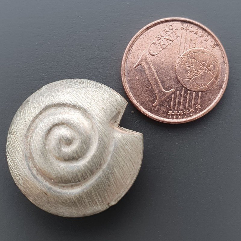Distanziatore In Ottone Forma Forma Conchiglia Satinata 20mm Argentato 1pz