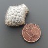 Distanziatore In Ottone Forma Pesce Lavorato Antico Tribal 19X23mm-Argentato 1pz