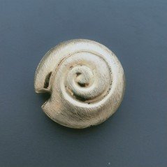 Distanziatore In Ottone Forma Conchiglia Satinato 25mm-Dorato 1pz