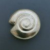 Distanziatore In Ottone Forma Conchiglia 40mm-Dorato 1pz