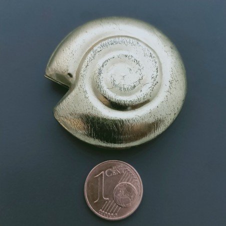 Distanziatore In Ottone Forma Conchiglia 40mm-Dorato 1pz