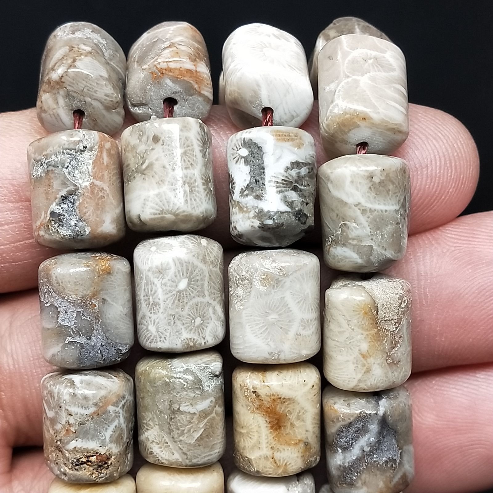 Corallo Fossile Perline Forma Cilindro Liscio 10x14mm
