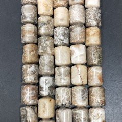 Corallo Fossile Perline Forma Cilindro Liscio 10x14mm
