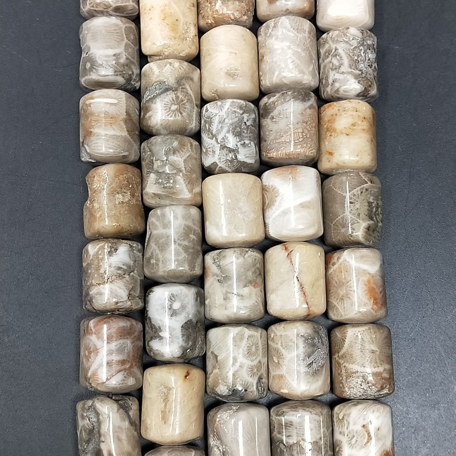 Corallo Fossile Perline Forma Cilindro Liscio 10x14mm