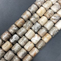 Corallo Fossile Perline Forma Cilindro Liscio 10x14mm